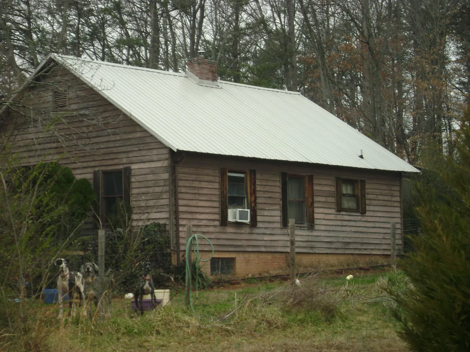 White metal roof on an old wood sided farmhouse, from a Metal Roof Installation job in Wellfleet